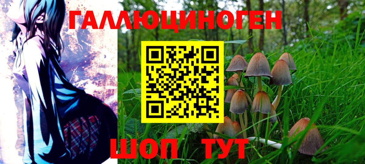 Галлюциногенные грибы Cubensis Шали
